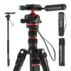 NEEWER TP08 77" Camera Tripod Monopod