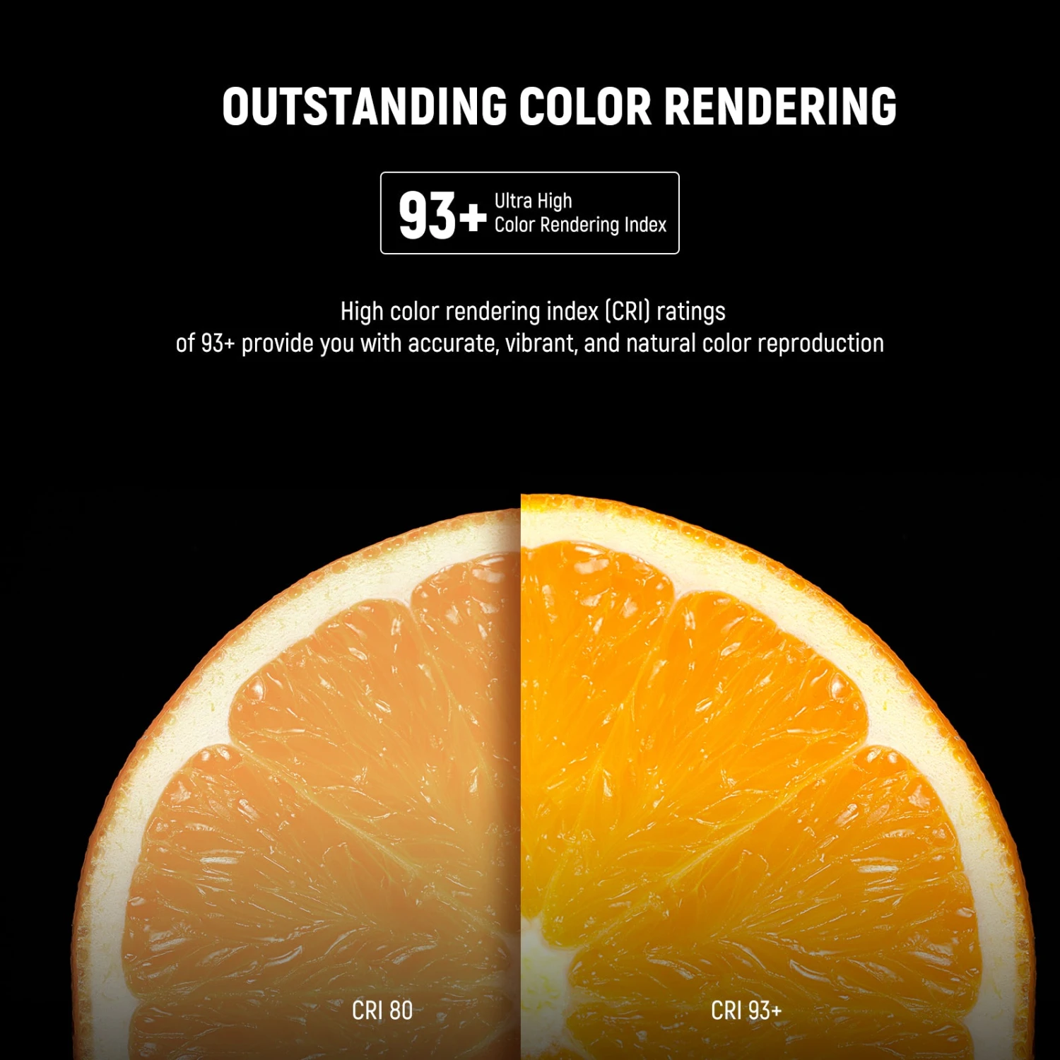 NEEWER T80 2 Packs E26 24W LED Light Bulbs 5 NEEWER T80 2 Packs E26 24W LED Light Bulbs - Image 5