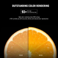 NEEWER T100 2 Packs E26 35W LED Light Bulbs -Photography Equipment 10101651 4