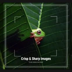 NEEWER Macro Close Up Lens Filter Kit (+1,2,4,10) -Photography Equipment 10102106 3