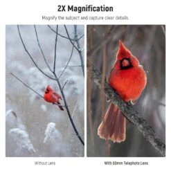 NEEWER LS-41 PRO 60mm Telephoto Lens With 17mm Lens Clip & 67mm Filter Adapter 11 NEEWER LS-41 PRO 60mm Telephoto Lens With 17mm Lens Clip & 67mm Filter Adapter -Photography Equipment 3 772b22a2 20cf 4bcc 8e87 71b4bb201596