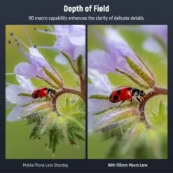 NEEWER LS-26 PRO 105mm Macro Lens With 17mm Phone Clip & 67mm Filter Adapter -Photography Equipment 3 b7539946 78fc 4c52 afc5 384b6fb17dd3