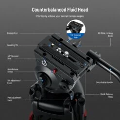 NEEWER BASICS TP37 74" Video Tripod With Fluid Head -Photography Equipment 5 a6a9e6df 24fc 410d a300 0a0e20e4dbf6