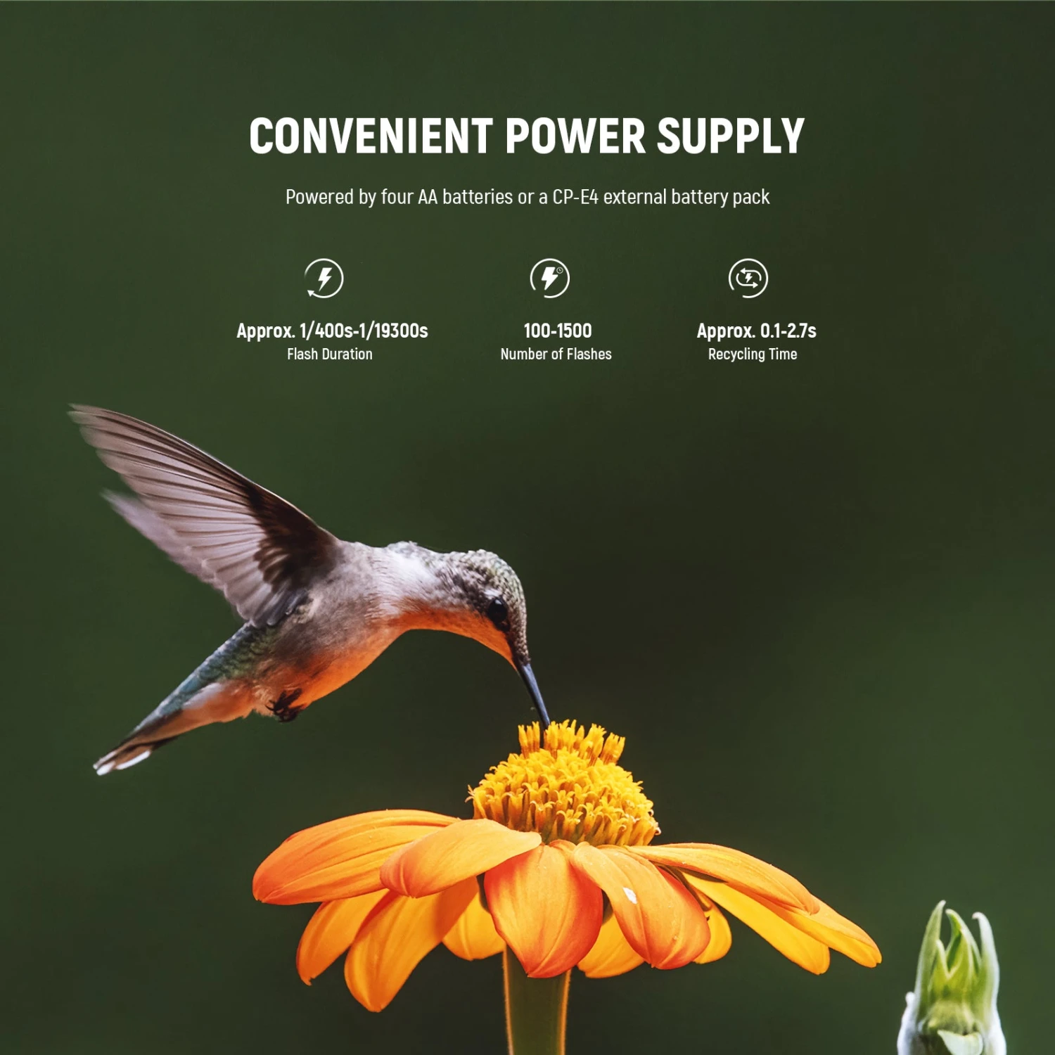 NEEWER RF1-C/N/S 76Ws 5600K GN15 TTL Marco Ring Flash 9 NEEWER RF1-C/N/S 76Ws 5600K GN15 TTL Marco Ring Flash - Image 9