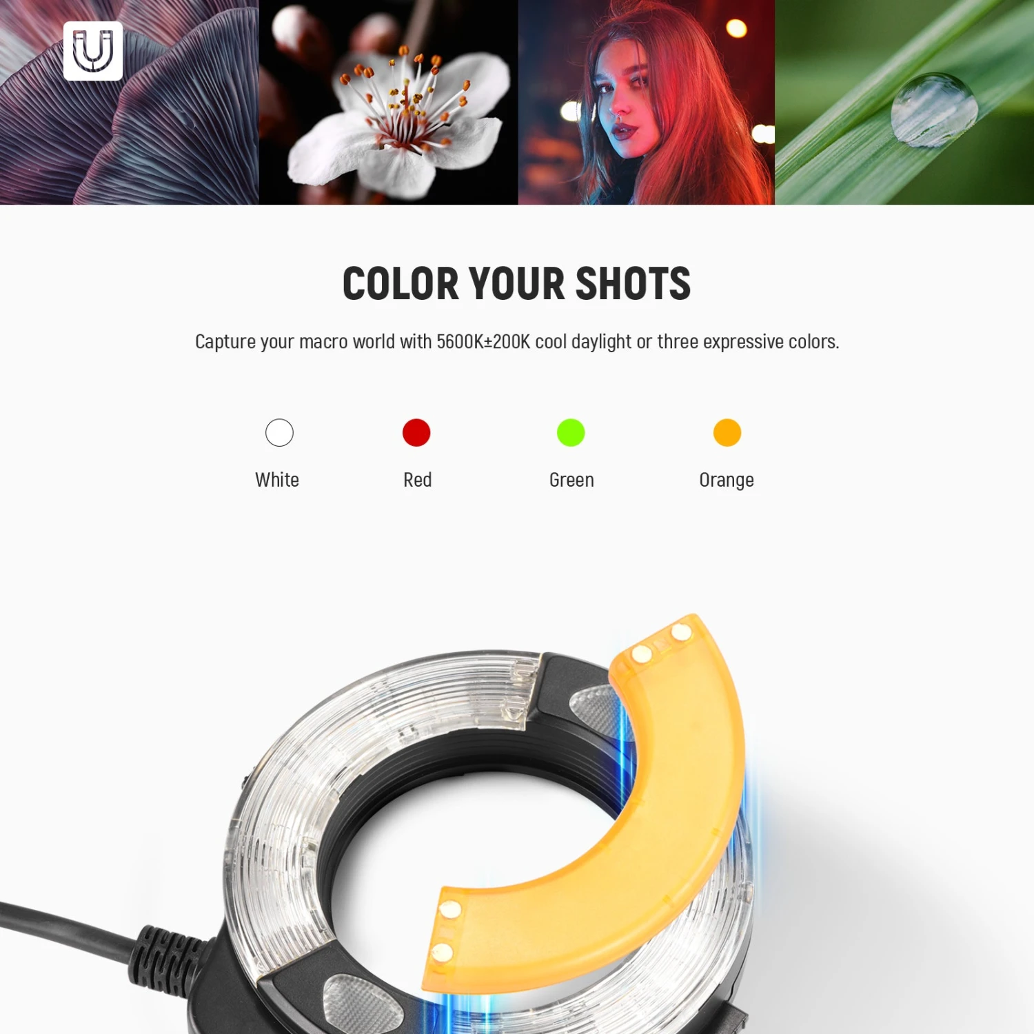 NEEWER RF1-C/N/S 76Ws 5600K GN15 TTL Marco Ring Flash 4 NEEWER RF1-C/N/S 76Ws 5600K GN15 TTL Marco Ring Flash - Image 4